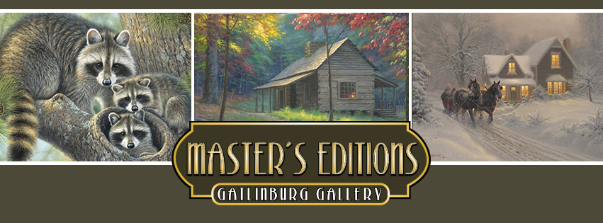 Facebook Cover GATLINBURG